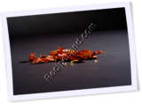 Recipe Photo