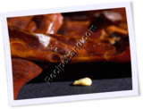 Recipe Photo