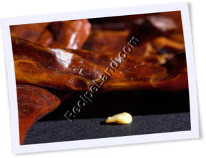 Recipe Photo