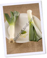 Recipe Photo