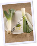 Recipe Photo