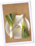 Recipe Photo