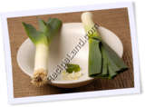 Recipe Photo
