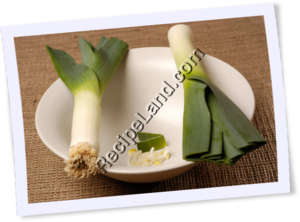 Recipe Photo