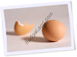 Recipe Photo