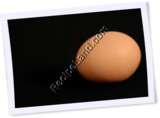 Recipe Photo