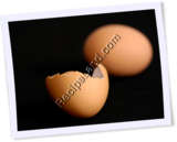 Recipe Photo