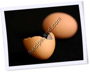 Recipe Photo