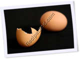 Recipe Photo