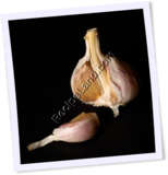 Recipe Photo