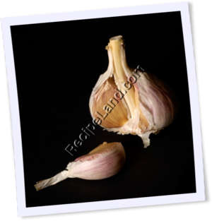 Recipe Photo