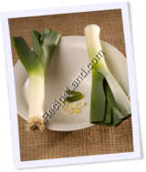 Recipe Photo