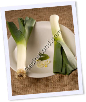 Recipe Photo