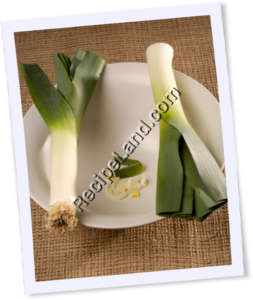 Recipe Photo