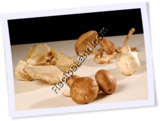 Recipe Photo