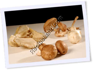 Recipe Photo