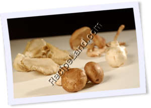 Recipe Photo