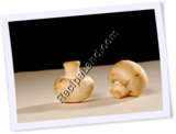Recipe Photo