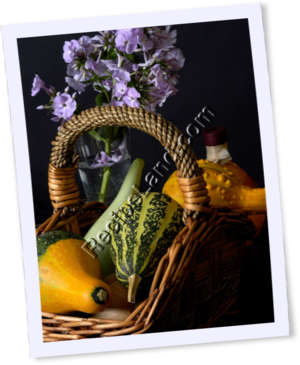 Recipe Photo