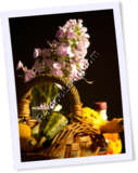 Recipe Photo