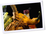 Recipe Photo