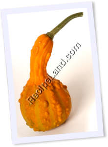 Recipe Photo