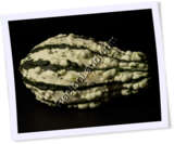 Recipe Photo