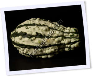 Recipe Photo