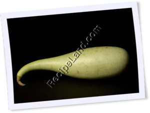 Recipe Photo