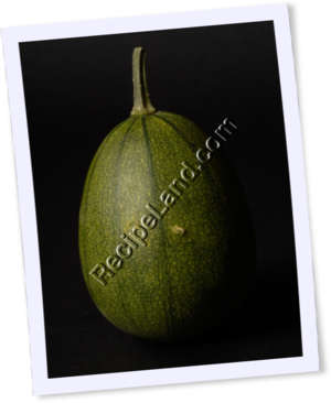 Recipe Photo