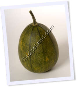 Recipe Photo