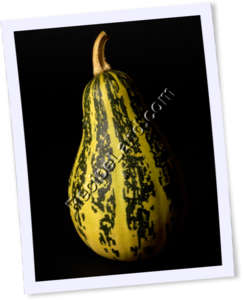 Recipe Photo