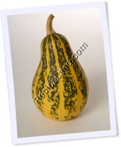 Recipe Photo