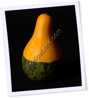 Recipe Photo