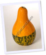 Recipe Photo