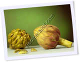 Recipe Photo
