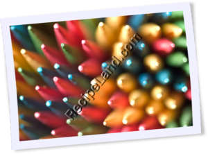 Recipe Photo