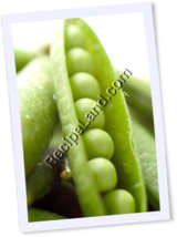 Recipe Photo