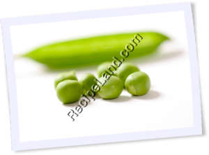 Recipe Photo