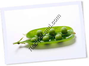 Recipe Photo