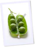 Recipe Photo