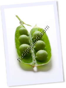 Recipe Photo