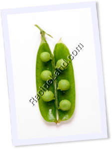 Recipe Photo