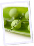 Recipe Photo