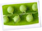 Recipe Photo