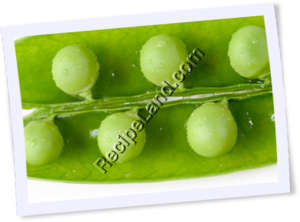 Recipe Photo