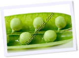 Recipe Photo
