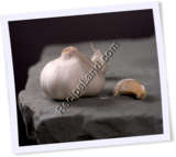Recipe Photo