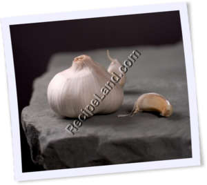 Recipe Photo