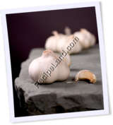 Recipe Photo